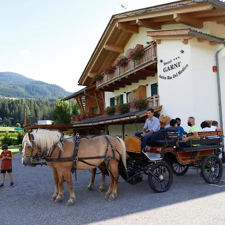 Otel Garni Antico Mas Del Medico 3*